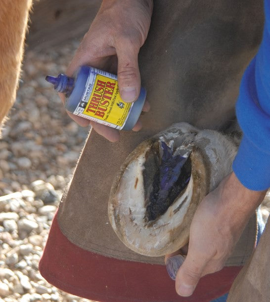 Mustad Thrushbuster 60ml